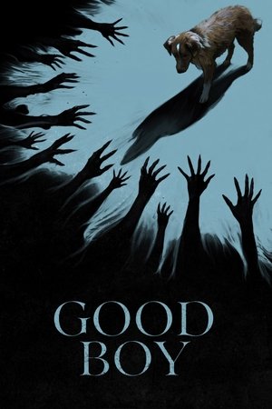 Good Boy (2025) Hindi (MULTI AUDIO) – – 1080p