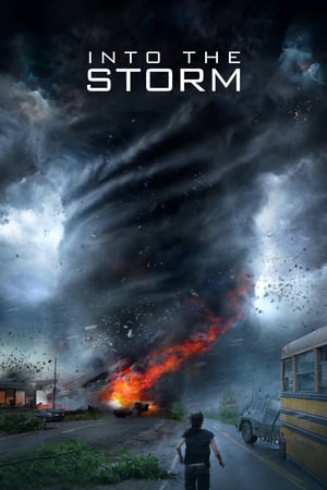 Into the Storm (2014) Hindi Dual Audio 300MB
