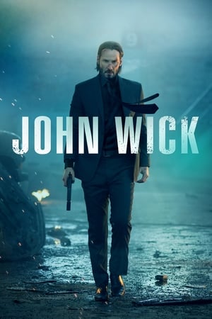 John Wick (2014) Hindi Dual Audio 300MB ESubs