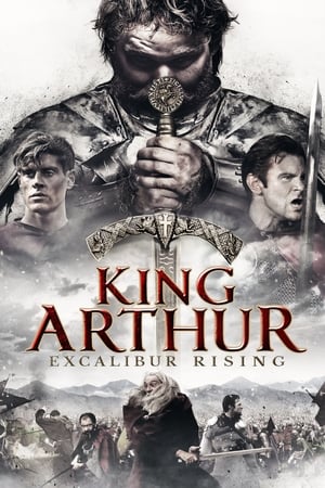 King Arthur: Excalibur Rising 2017 Hindi Dual Audio –