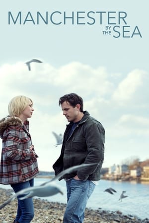 Manchester by the Sea 2016 Hindi Dual Audio [1.3GB]