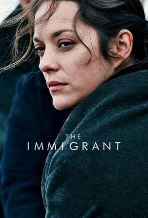 The Immigrant (2013) Hindi Dual Audio [880MB]