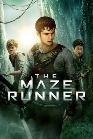 The Maze Runner (2014) Hindi Dual Audio 400MB